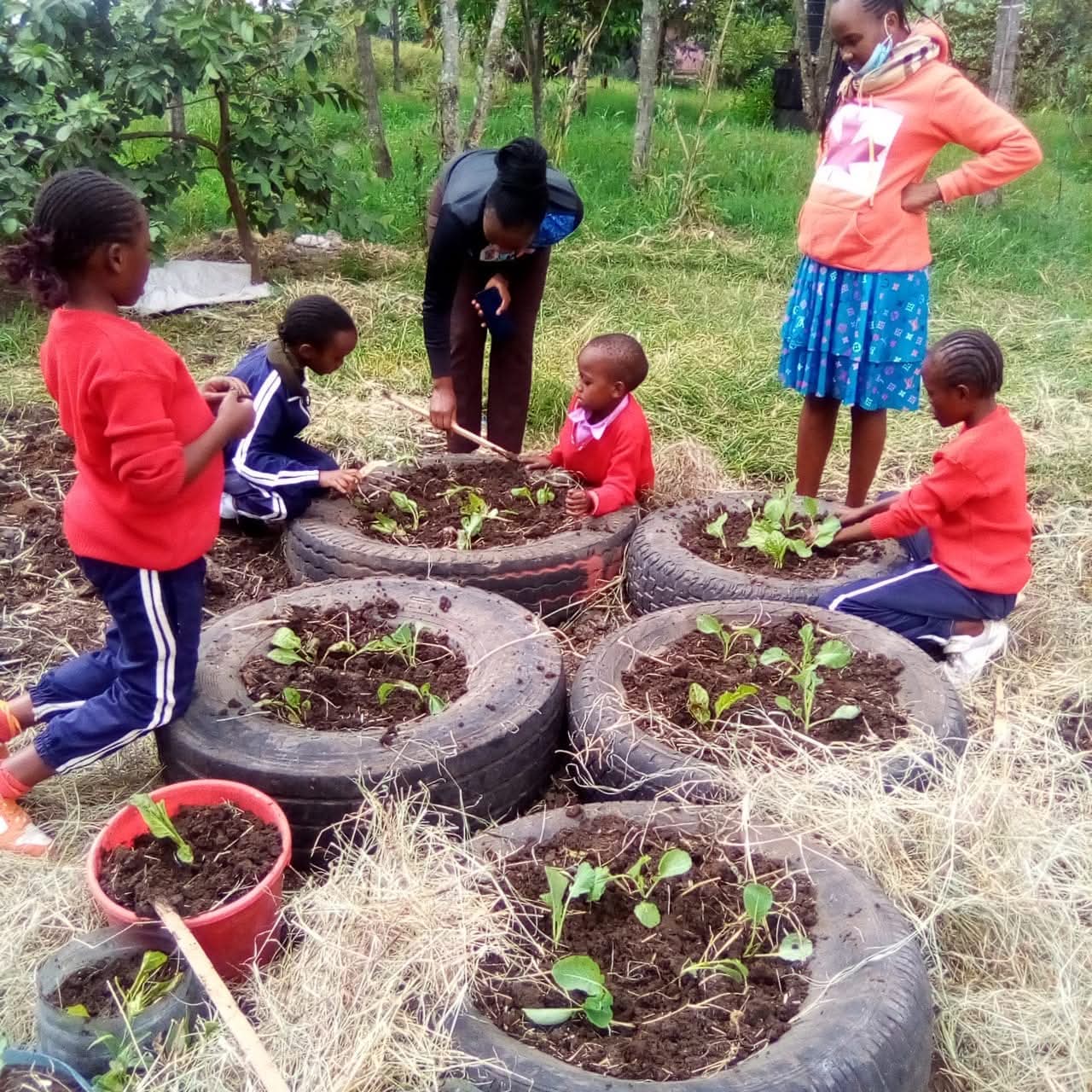 Children tending the kitchen garden