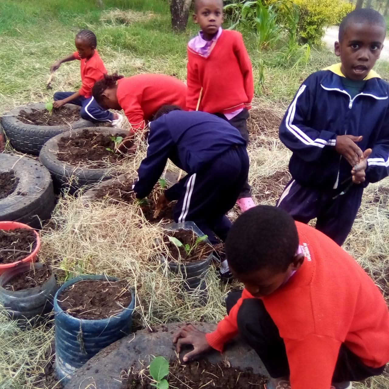 Children planting in the garden